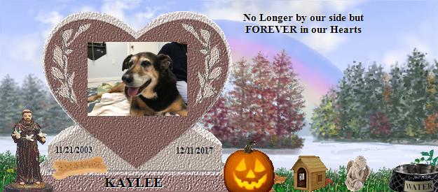 KAYLEE's Rainbow Bridge Pet Loss Memorial Residency Image