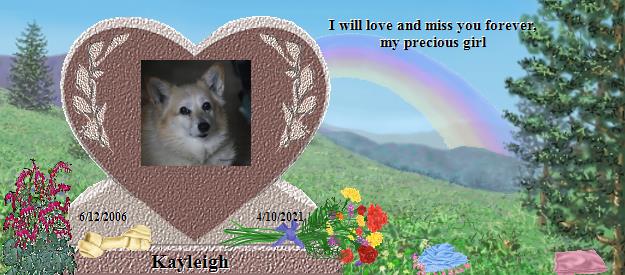Kayleigh's Rainbow Bridge Pet Loss Memorial Residency Image