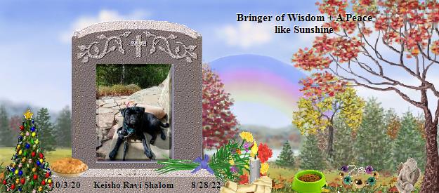 Keisho Ravi Shalom's Rainbow Bridge Pet Loss Memorial Residency Image