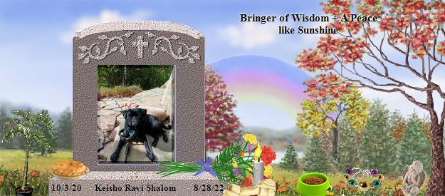 Keisho Ravi Shalom's Rainbow Bridge Pet Loss Memorial Residency Image