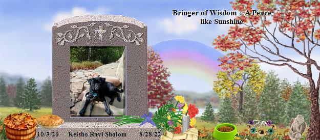 Keisho Ravi Shalom's Rainbow Bridge Pet Loss Memorial Residency Image