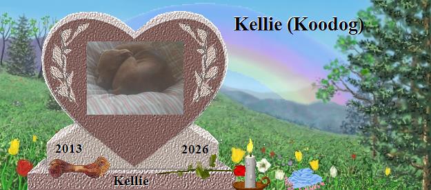 Kellie's Rainbow Bridge Pet Loss Memorial Residency Image