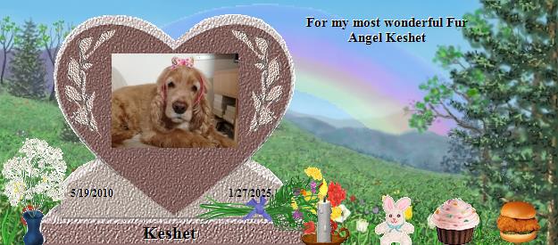 Keshet's Rainbow Bridge Pet Loss Memorial Residency Image