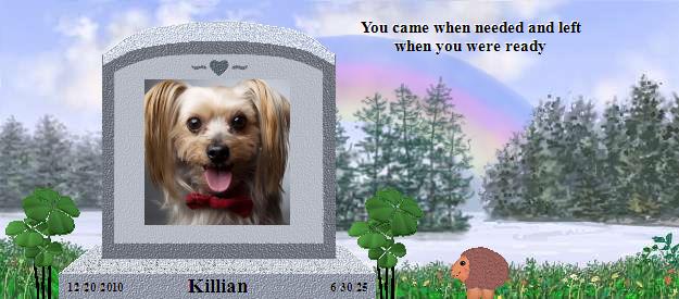 Killian's Rainbow Bridge Pet Loss Memorial Residency Image