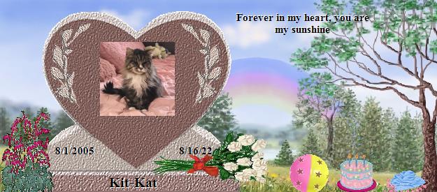 Kit-Kat's Rainbow Bridge Pet Loss Memorial Residency Image