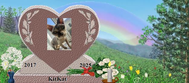KitKat's Rainbow Bridge Pet Loss Memorial Residency Image
