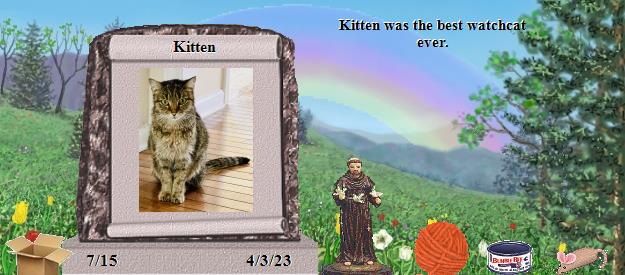 Kitten's Rainbow Bridge Pet Loss Memorial Residency Image
