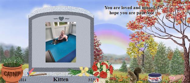 Kitten's Rainbow Bridge Pet Loss Memorial Residency Image