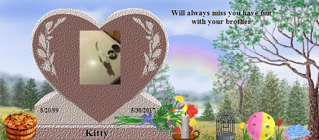 Kitty's Rainbow Bridge Pet Loss Memorial Residency Image