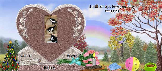 Kitty's Rainbow Bridge Pet Loss Memorial Residency Image