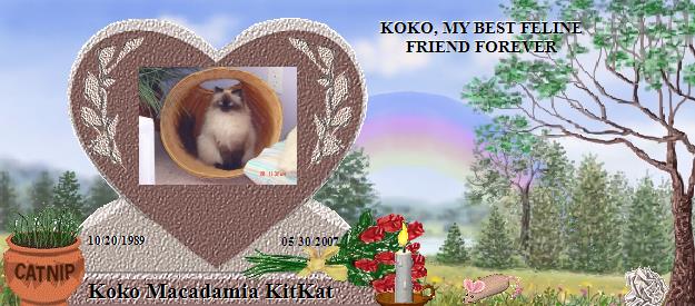 Koko Macadamia KitKat's Rainbow Bridge Pet Loss Memorial Residency Image