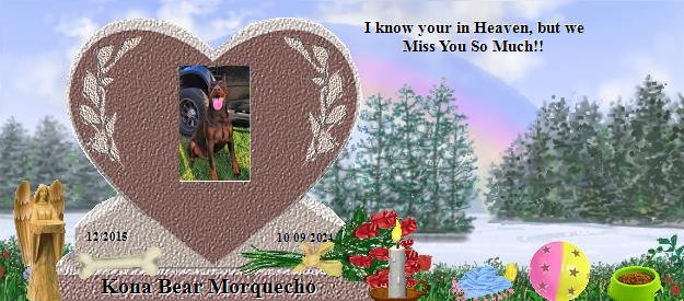 Kona Bear Morquecho's Rainbow Bridge Pet Loss Memorial Residency Image