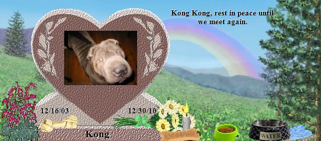 Kong's Rainbow Bridge Pet Loss Memorial Residency Image