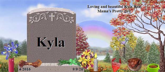 Kyla's Rainbow Bridge Pet Loss Memorial Residency Image