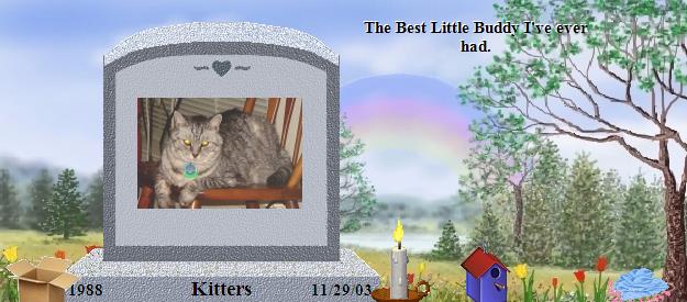 Kitters's Rainbow Bridge Pet Loss Memorial Residency Image