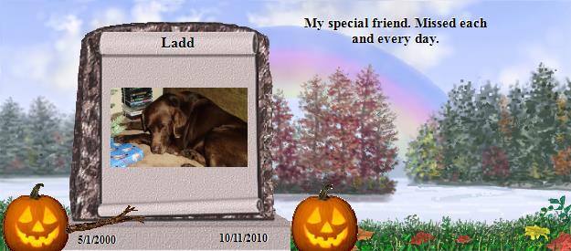 Ladd's Rainbow Bridge Pet Loss Memorial Residency Image