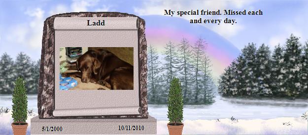 Ladd's Rainbow Bridge Pet Loss Memorial Residency Image