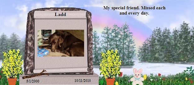 Ladd's Rainbow Bridge Pet Loss Memorial Residency Image