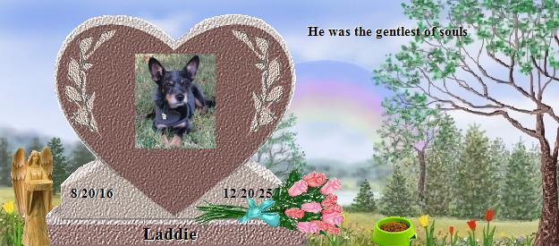 Laddie's Rainbow Bridge Pet Loss Memorial Residency Image