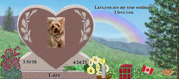 Lars's Rainbow Bridge Pet Loss Memorial Residency Image