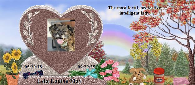 Leia Louise May's Rainbow Bridge Pet Loss Memorial Residency Image