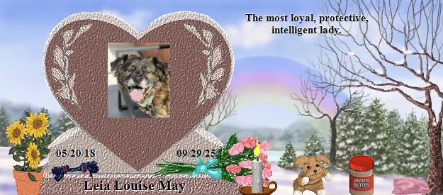 Leia Louise May's Rainbow Bridge Pet Loss Memorial Residency Image