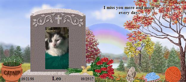 Leo's Rainbow Bridge Pet Loss Memorial Residency Image