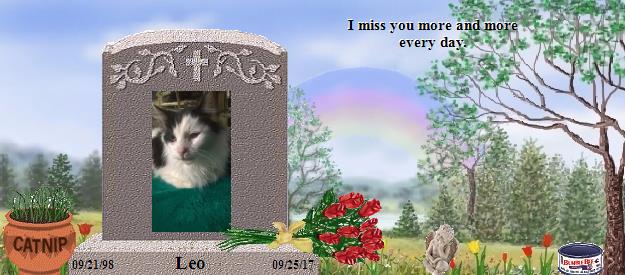 Leo's Rainbow Bridge Pet Loss Memorial Residency Image