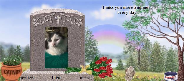 Leo's Rainbow Bridge Pet Loss Memorial Residency Image