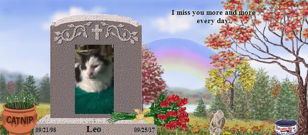 Leo's Rainbow Bridge Pet Loss Memorial Residency Image