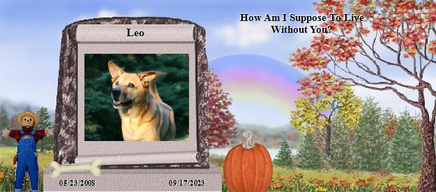 Leo's Rainbow Bridge Pet Loss Memorial Residency Image