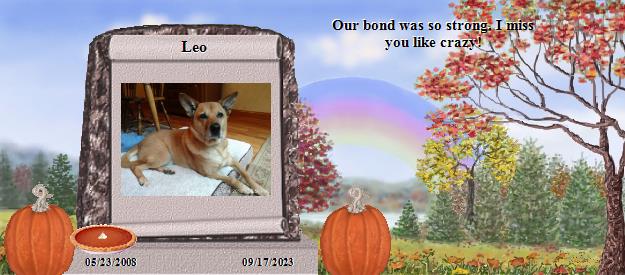 Leo's Rainbow Bridge Pet Loss Memorial Residency Image