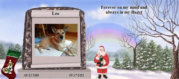 Leo's Rainbow Bridge Pet Loss Memorial Residency Image