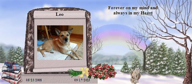 Leo's Rainbow Bridge Pet Loss Memorial Residency Image