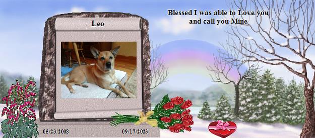 Leo's Rainbow Bridge Pet Loss Memorial Residency Image