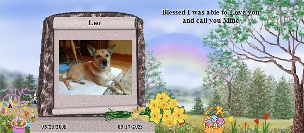 Leo's Rainbow Bridge Pet Loss Memorial Residency Image