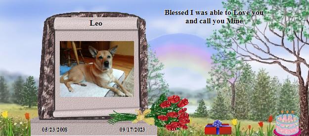 Leo's Rainbow Bridge Pet Loss Memorial Residency Image