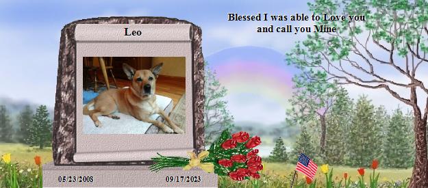 Leo's Rainbow Bridge Pet Loss Memorial Residency Image
