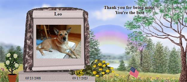 Leo's Rainbow Bridge Pet Loss Memorial Residency Image
