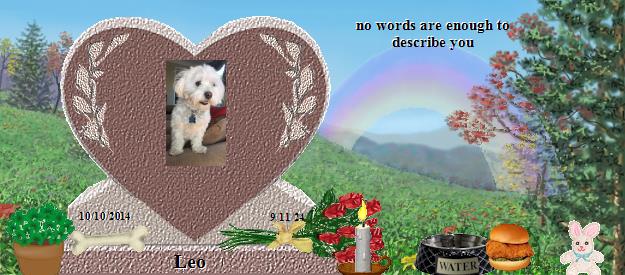 Leo's Rainbow Bridge Pet Loss Memorial Residency Image