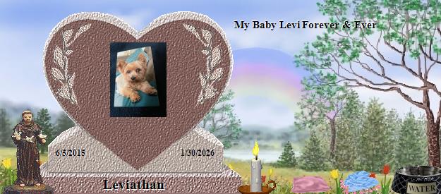Leviathan's Rainbow Bridge Pet Loss Memorial Residency Image
