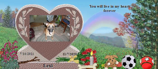 Lexi's Rainbow Bridge Pet Loss Memorial Residency Image