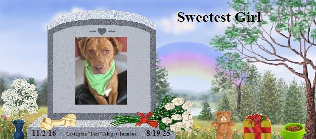 Lexington "Lexi" Abigail Iannone's Rainbow Bridge Pet Loss Memorial Residency Image