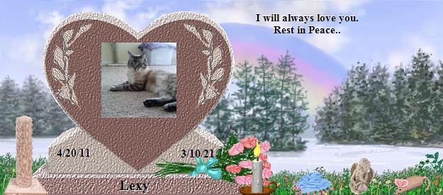 Lexy's Rainbow Bridge Pet Loss Memorial Residency Image