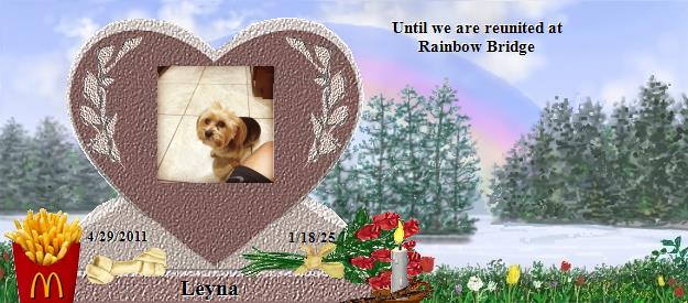 Leyna's Rainbow Bridge Pet Loss Memorial Residency Image