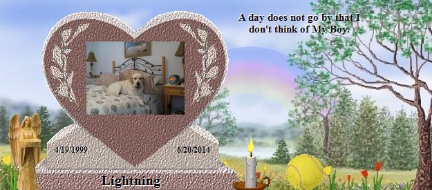 Lightning's Rainbow Bridge Pet Loss Memorial Residency Image