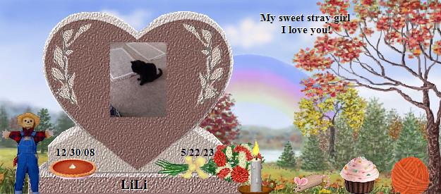 LiLi's Rainbow Bridge Pet Loss Memorial Residency Image