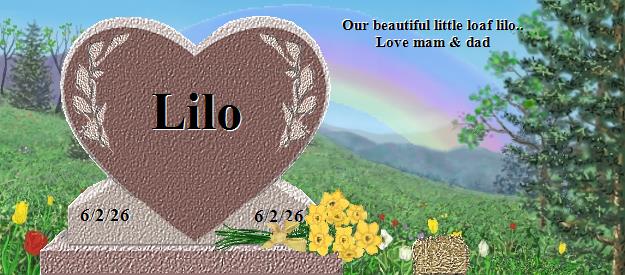 Lilo's Rainbow Bridge Pet Loss Memorial Residency Image