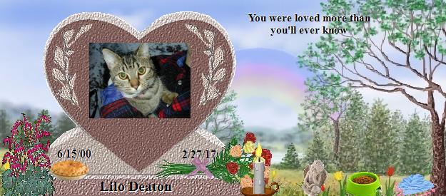 Lilo Deaton's Rainbow Bridge Pet Loss Memorial Residency Image