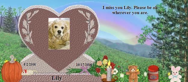 Lily's Rainbow Bridge Pet Loss Memorial Residency Image